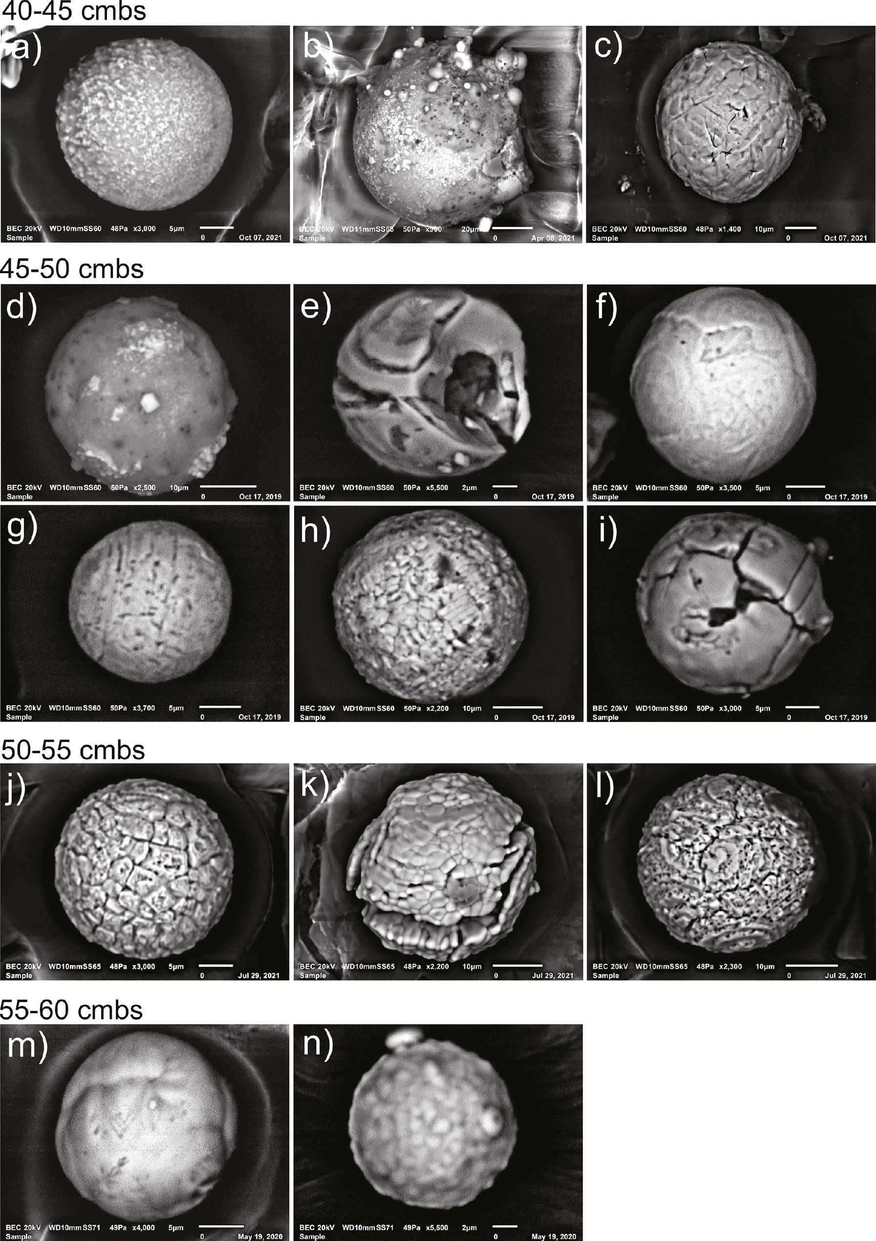 Magnetic microspherules from Parsons Island. They were extracted from 5-cm interval samples between 40 and 60 cm, as shown. Peak abundances occur at 45–50 cm. (click on Supplementary Information Table 2, Figure 9, and Supplementary Information Figures 31–41).
