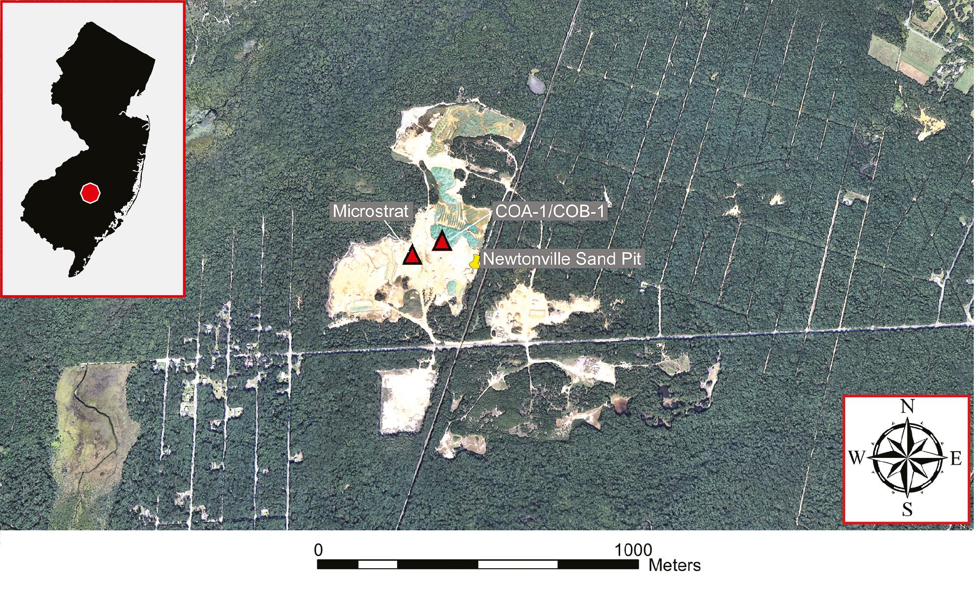 Areas sampled (microstrat and COA-1/COB-1) at Newtonville Sandpit in the New Jersey Pinelands National Reserve (PNR). The image was created using Google Earth and Canvas 11 (Build 1252) software.