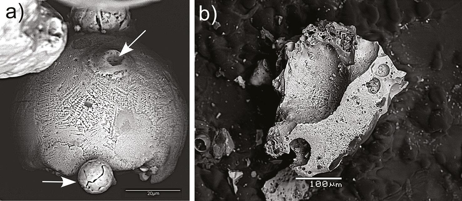 SEM images of (a) dendritic iron (Fe) microspherules and (b) vesicular aluminosilicate meltglass fragment from YDB-aged COA-1 sample, Newtonville sand pit (click on Supplementary Information Figure 1). Arrows in (a) call attention to multiple spherules and a secondary spherule with a dimple caused by impact momentum.