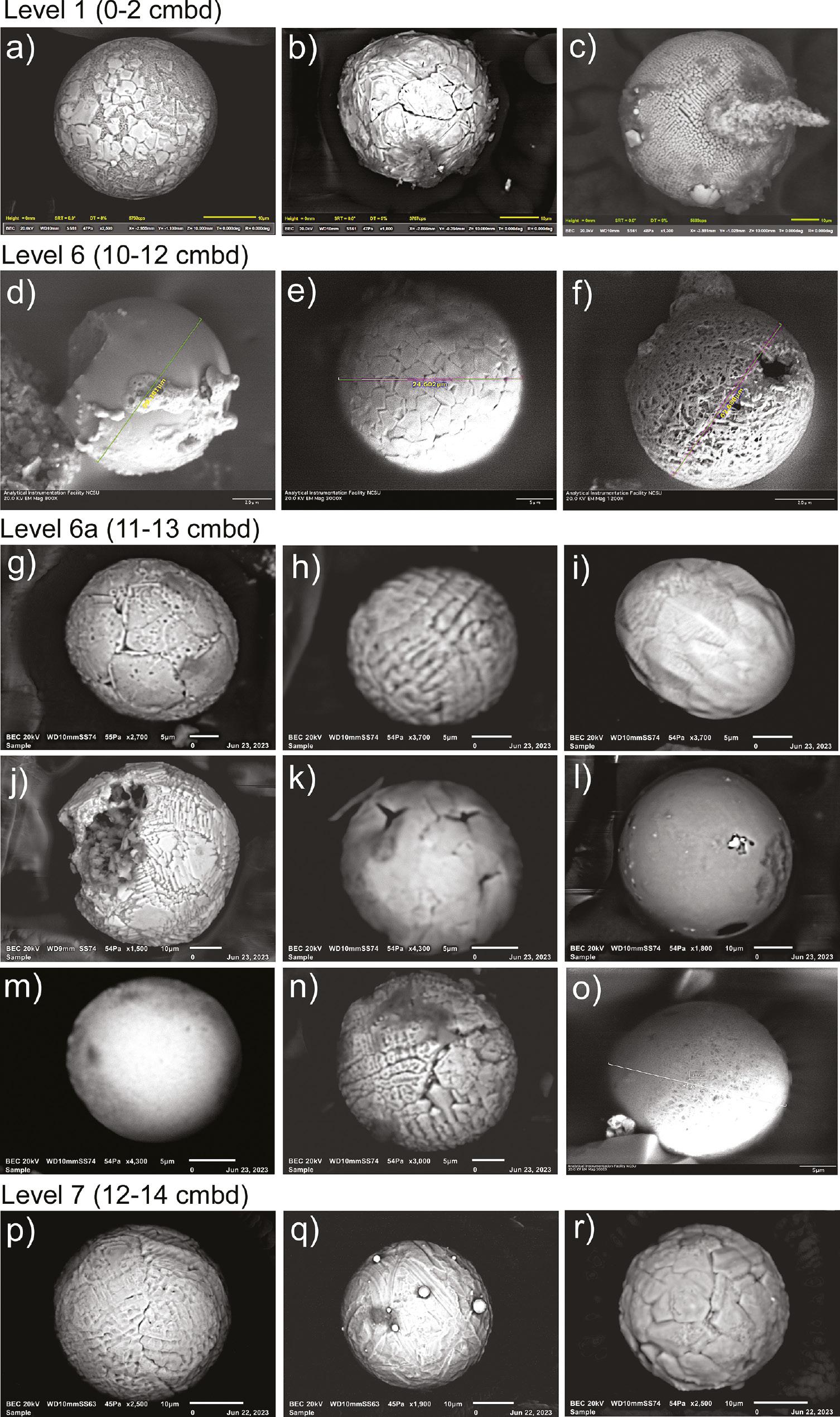 Examples of magnetic microspherules from Newtonville recovered from the microstratigraphic sediment block samples (a-r) taken at 2-cm intervals (see Figures 5, 6, click on Supplementary Information Table 1, and Supplementary Information Figures 4–20). Microspherule abundances (e.g., 13/kg) are much lower above and below the YDB peak (4483/kg) (click on Supplementary Information Table 1), and their presence likely results from redeposition. Microspherule surface features are variable, with most exhibiting dendritic patterns.