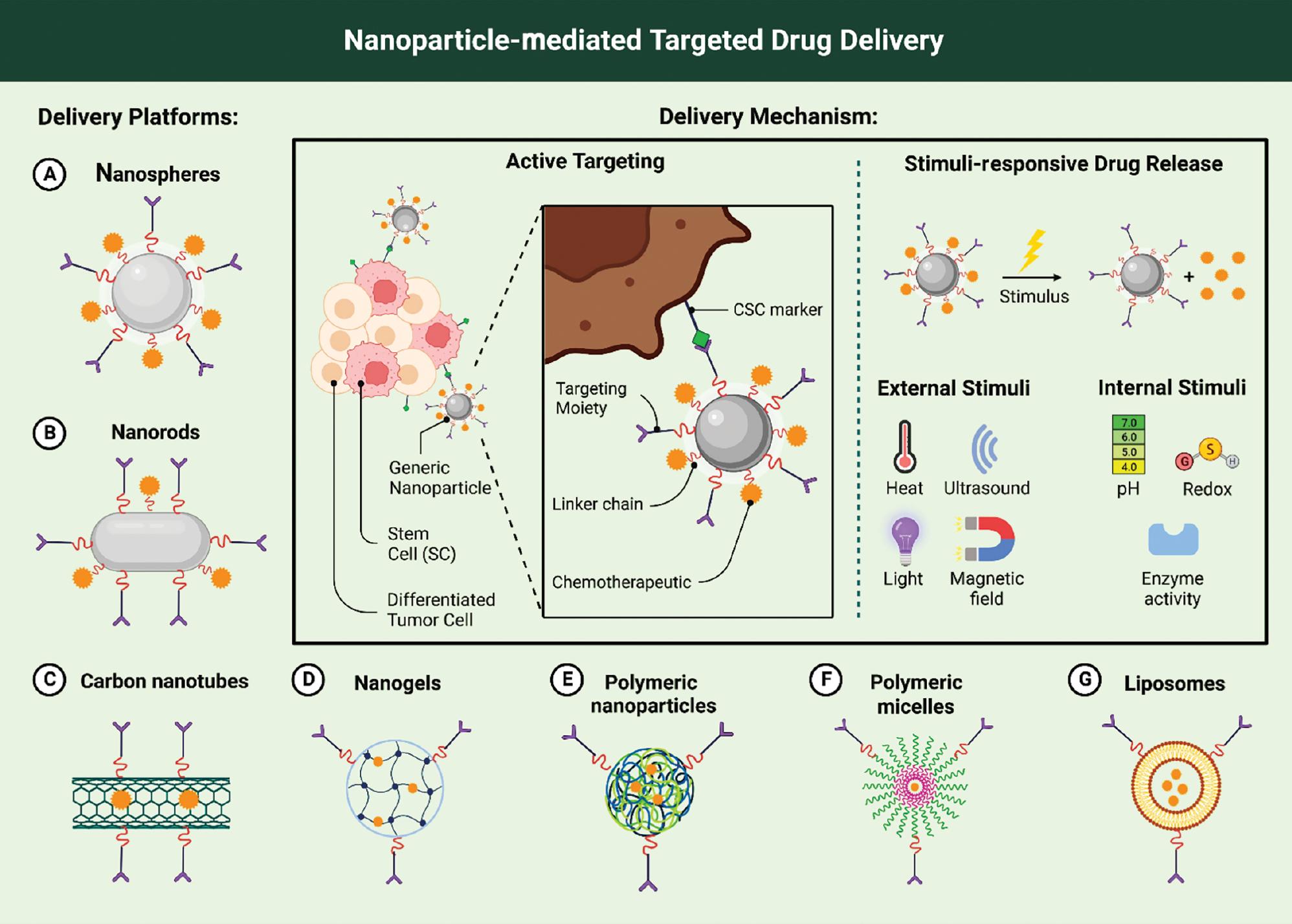 The use of nanoparticles and targeted delivery systems.